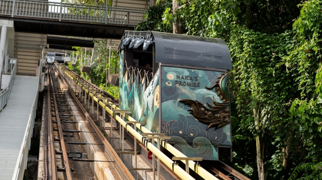 Jungle Funicular