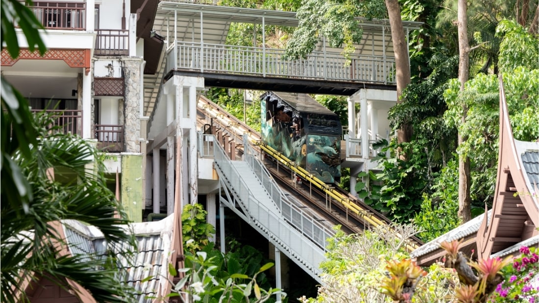 Jungle Funicular
