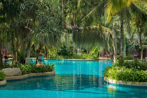 Our lagoon pool is nestled within our signature botanic gardens