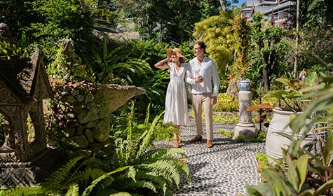 Tropical Serenity Winter Getaway