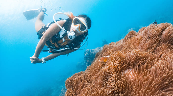 Scuba diving at Nakalay House Reef near our Phuket beach resort