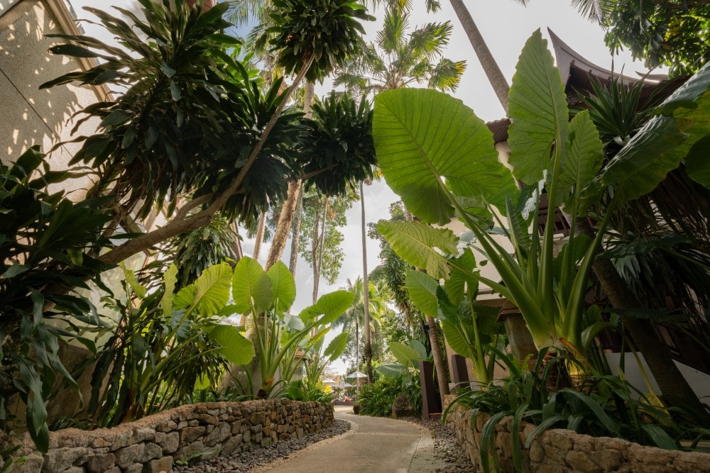 Resort Inside a Botanical Garden