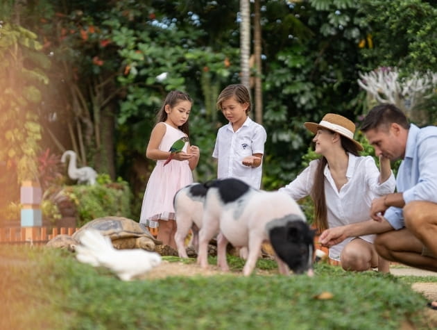 Beachfront Petting Zoo